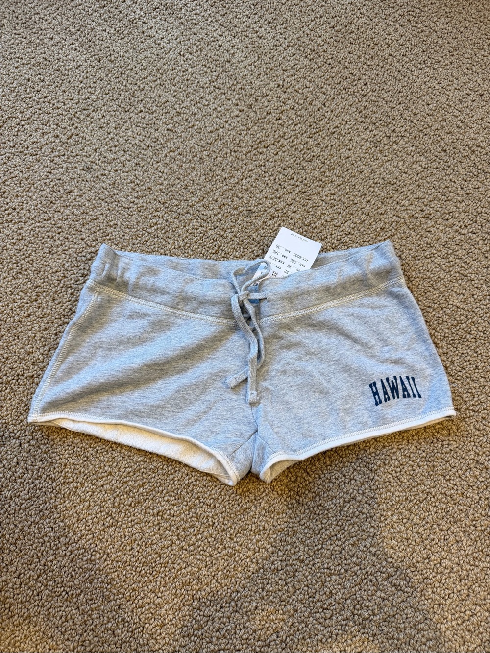 Brandy Melville Gray 'Hawaii' Athletic Lounge Shorts